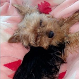 Meet your Posher, Erin